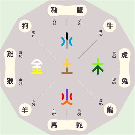 五行 地支|五行